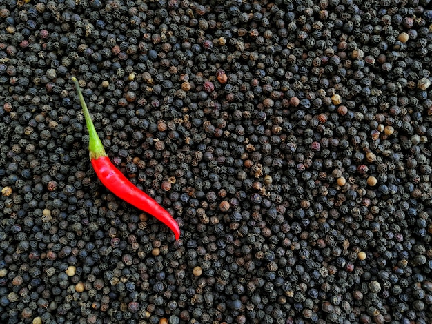 Zdjęcie red chili pepper