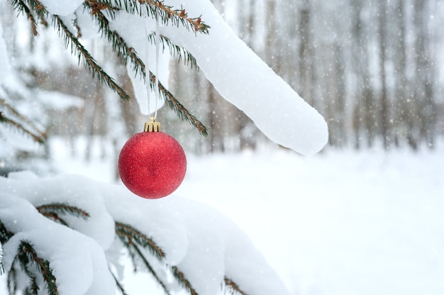 Red Christmas ball wiszące na sosnowych gałęziach pokrytych śniegiem w zaśnieżonym lesie