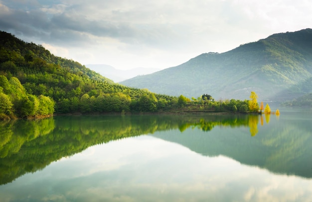 Refleksje nad jeziorem