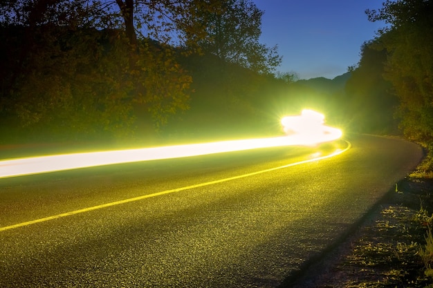 Reflektory oświetlają pustą drogę w letnim lesie. Długie kręte szlaki