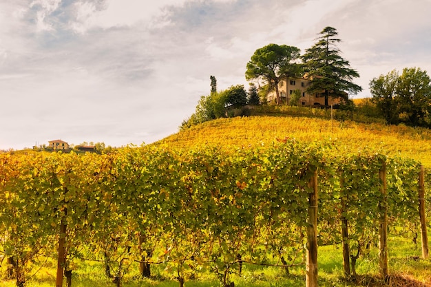 Region winiarski Barolo Langhe Piemont Włochy