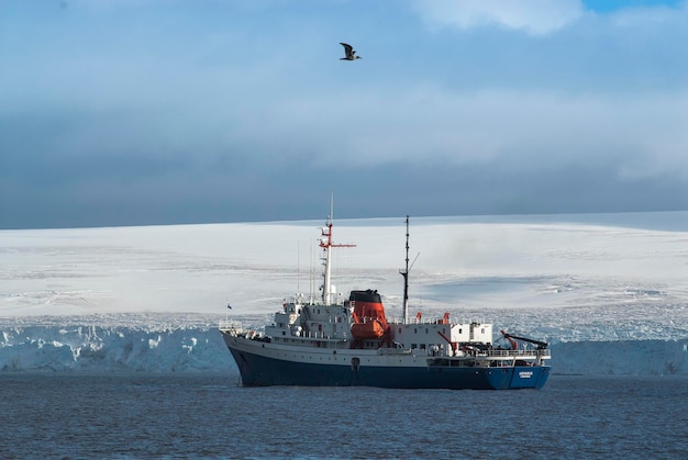 Rejs statkiem ekspedycyjnym po antarktycznej scenerii wyspy Paulet w pobliżu Półwyspu Antarktycznego