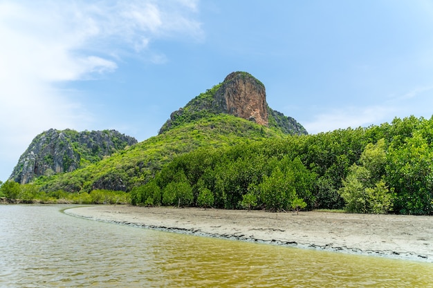 Zdjęcie rejs statkiem po kanale khlong daeng w parku narodowym khao sam roi yot, prowincja prachuap khiri khan