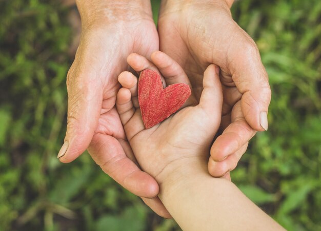 Ręka Childs i babcia stara ręka trzymać serce