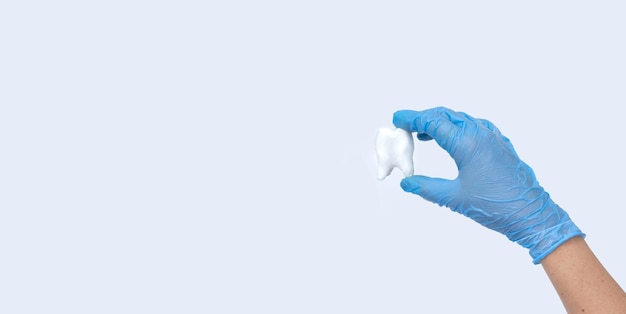 Ręka dentysty w niebieskich rękawiczkach medycznych trzyma biały model zęba Jasne tło Pojęcie higieny jamy ustnej w rodzinie