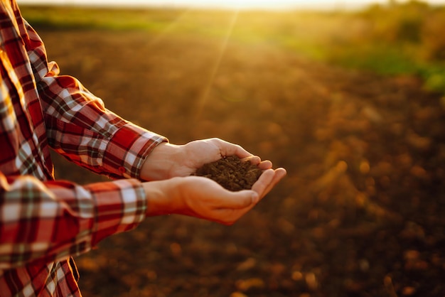 Ręka doświadczonego rolnika zbiera glebę i sprawdza jej stan przed wyhodowaniem nasion warzyw