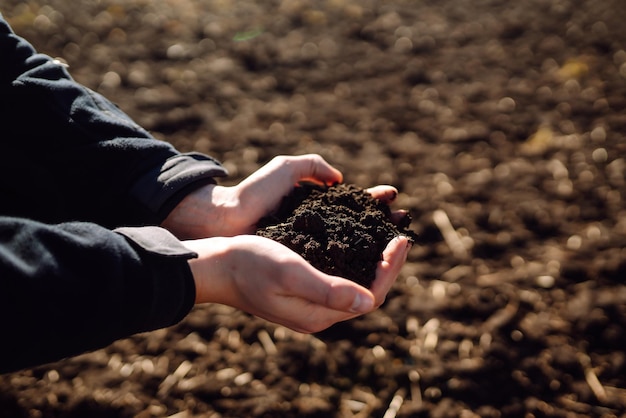 Ręka doświadczonego rolnika zbiera glebę Rolnik sprawdza jakość gleby przed zasiewem Koncepcja ekologii