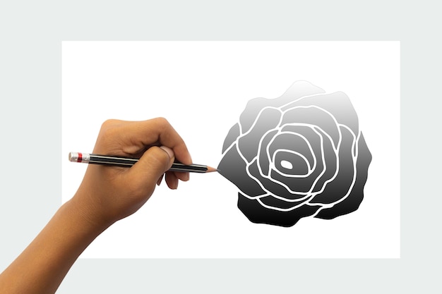 Ręka dziecka jest gotowa do narysowania czarnego kwiatu róży czarnym ołówkiem. Na białym tle na białym tle tabeli.