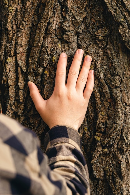 Ręka mężczyzny dotyka tekstury kory starego drzewa. Koncepcja troski o naturę.
