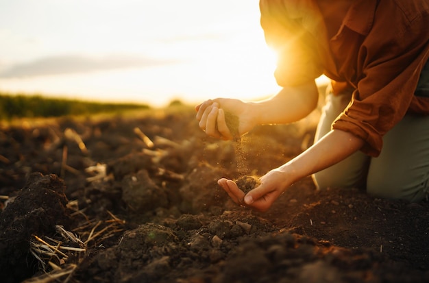 Ręka rolnicy dotyka gleby, sprawdza jej zdrowie przed uprawą warzyw Koncepcja rolnictwa