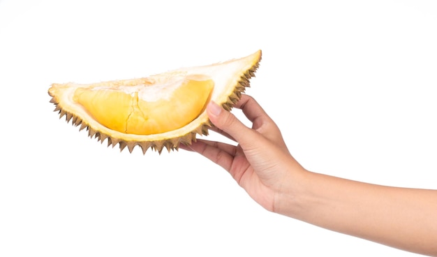 ręka trzyma część owoców Durian na białym tle.