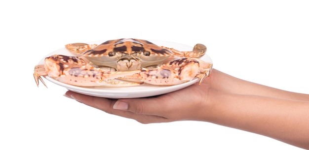 ręka trzyma gotowanego kraba przygotowanego na talerzu na białym tle