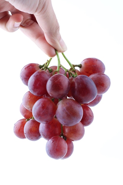 Ręka trzyma kiść dojrzałych czerwonych winogron