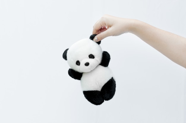 Ręka trzyma lalkę panda, czarną obwódkę oczu, zabawka panda na białym tle