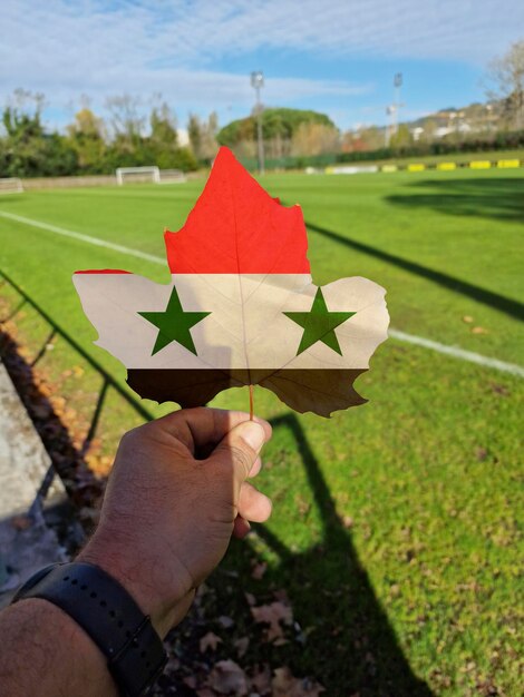 Zdjęcie ręka trzyma liść drzewa z flagą syrii