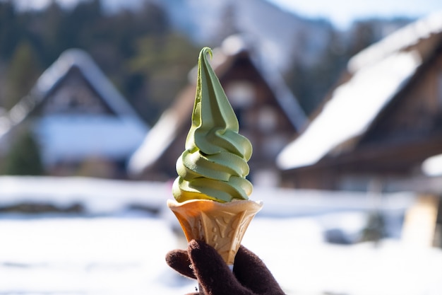 Ręka trzyma miękkie drzewo zielone lody z tłem śniegu