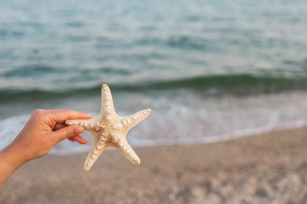 Ręka trzyma rozgwiazdy z pięknym tropikalnym letnim piaskiem na wyspie plaży, relaksujące wakacje lato błękitne morze koncepcja.