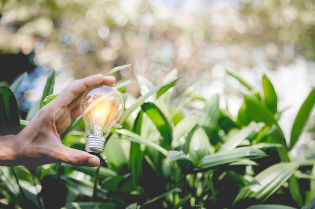 Ręka trzyma żarówkę, źródła energii odnawialnej, naturalnej energii i kocha światową koncepcję.