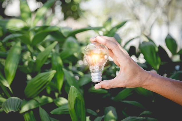 Ręka Trzyma żarówkę, źródła Energii Odnawialnej, Naturalnej Energii I Kocha światową Koncepcję.