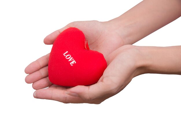 ręka trzymaj valentine miłość serce na białym tle