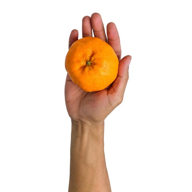 Zdjęcie ręka trzymająca pomarańczowy izolowany na białym tle