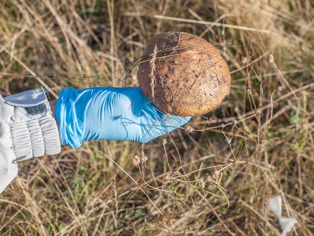 Ręka w niebieskiej gumowej rękawiczce trzyma właśnie wybrał grzyb w jesiennym lesie.