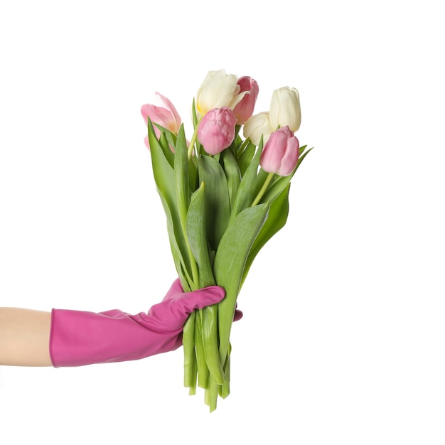 Ręka w rękawiczki do prac domowych trzymać tulipany, na białym tle