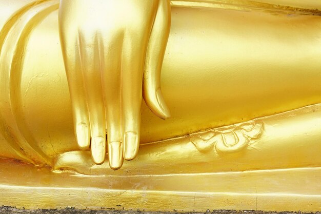 Ręka złotego żółtego buddy