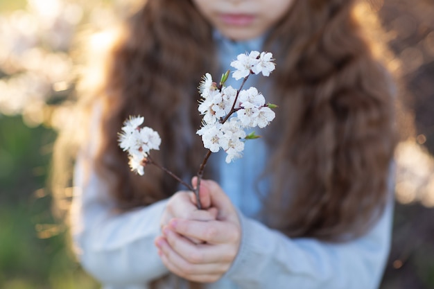 Ręki mała dziewczynka trzyma gałąź kwiatonośnego drzewa