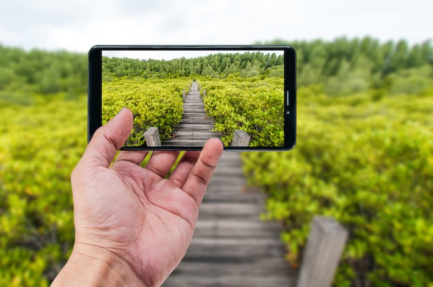 Ręki mienia smartphone natury krajobrazowy tło