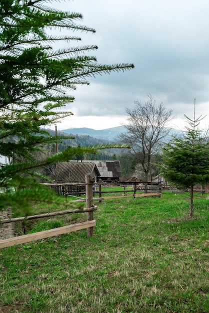 Rekreacja na świeżym powietrzu Zielone góry widoki drzewa i drewniany dom Karpaty Ukraina