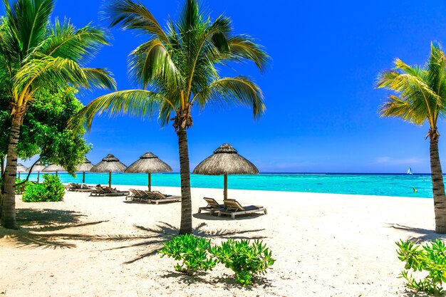 Relaksujące tropikalne wakacje, leżaki i parasole na białej, piaszczystej plaży na wyspie Mauritius