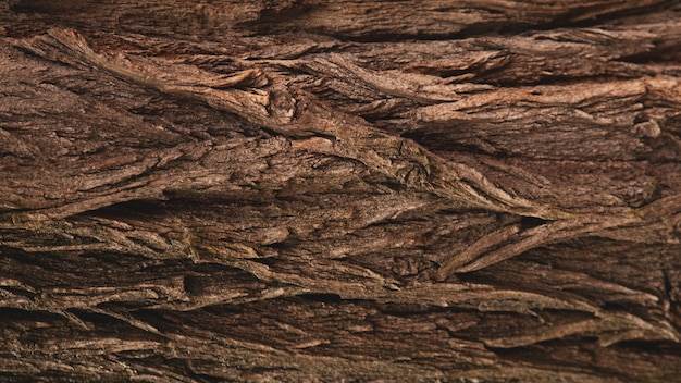 Reliefowy tekstury tło brown barkentyna drzewo. Tapeta na urządzenie