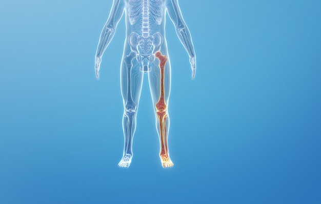 Zdjęcie rendering kinowy 4d struktury kostnej ludzkiej podudzia