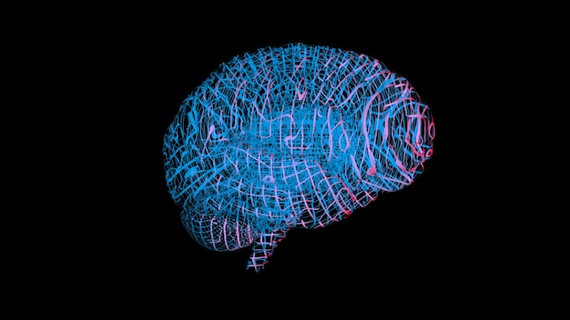Renderowanie 3d Komputerowego Modelu Ludzkiego Mózgu
