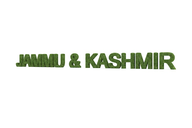 Renderowanie 3d Zielonej Trawy Jammu I Kaszmir Na Białym Tle