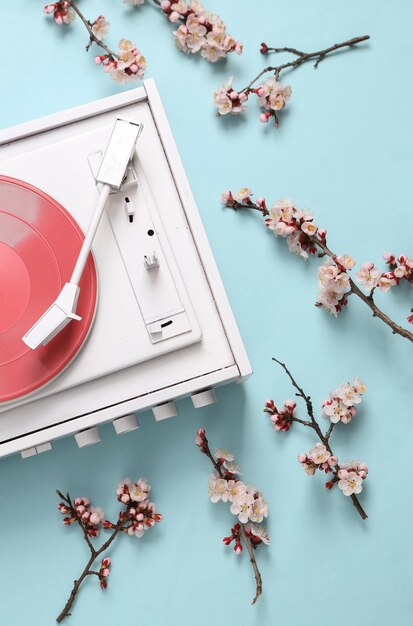 Retro gramofon winylowy z pięknymi białymi gałęziami kwitnącymi na niebieskim pastelowym tle Wiosenna minimalna koncepcja muzyczna Płaski widok z góry