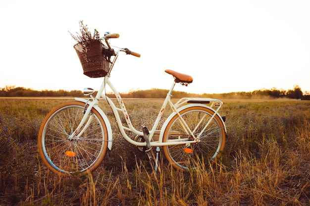 Retro rower z koszem o zachodzie słońca. Pojazd.