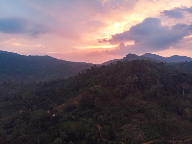 Rezerwat przyrody lasów deszczowych Sinharaja sri lanka widok z lotu ptaka na zachód słońca w górach dżungla starożytny las