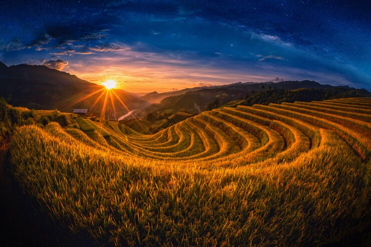 Rice pola na tarasowatym z milky sposobem przy zmierzchem w Mu Cang Chai, YenBai, Wietnam