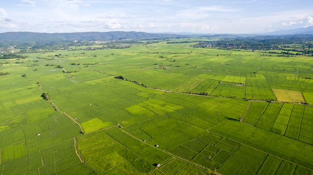 Zdjęcie rice terrace aerial shot