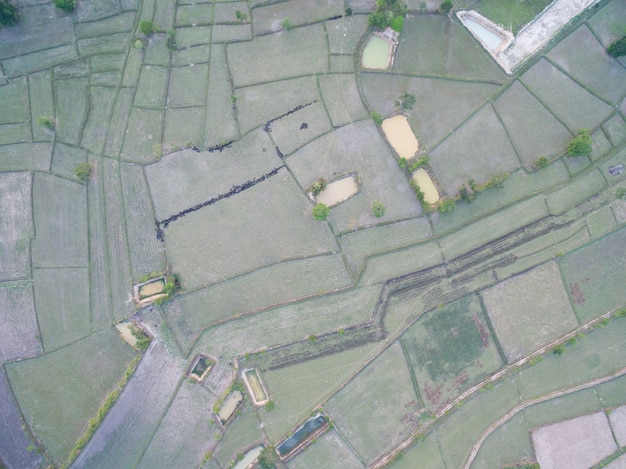 Rice Terrace Aerial Shot