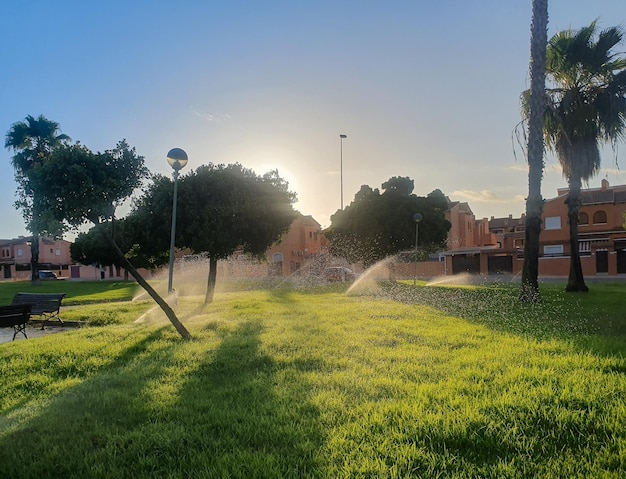 Riego por aspersin en parque urbano con grama en ciudad de la costa mediterrnea