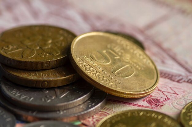 Ringgit Malezja, dolar singapurski i monety Arabii Saudyjskiej Riyals, wybrane skupiają się na słowie pięćdziesiąt halalas. Koncepcja biznesu, finansów, gospodarki i inwestycji.