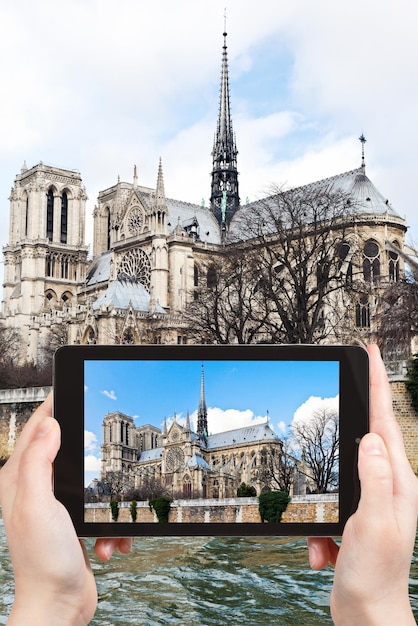 Robienie zdjęcia katedry NotreDame de Paris