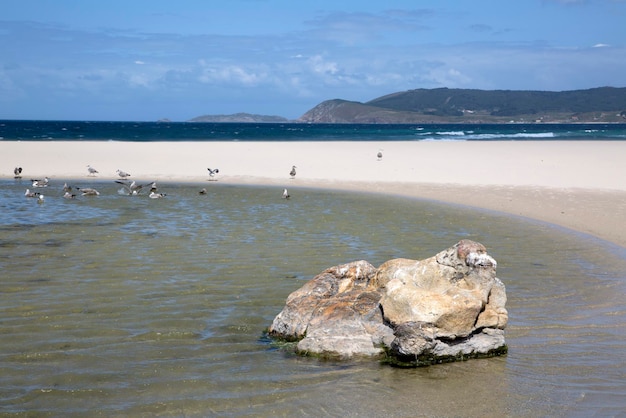 Rock na plaży Rostro, Finisterre, Costa de la Muerte, Galicja, Hiszpania