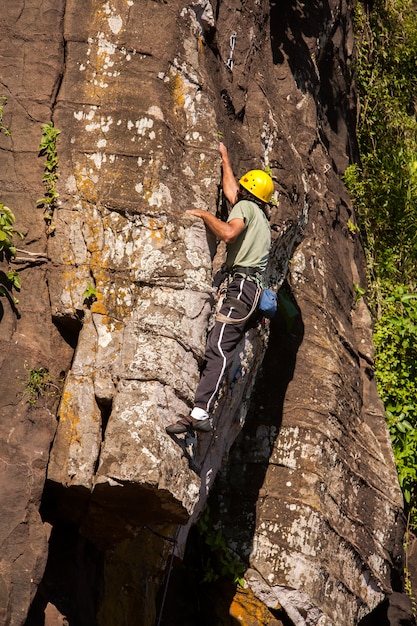 Rockowy arywista w Iguazu park narodowy bazaltowych skałach