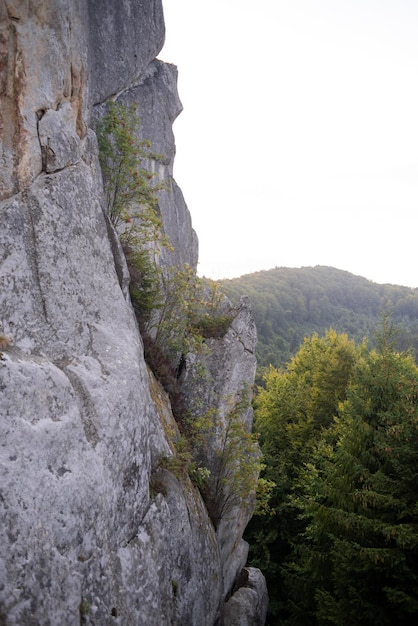 Rocky Mountains Krajobraz piękna europejska przyroda. Park Narodowy