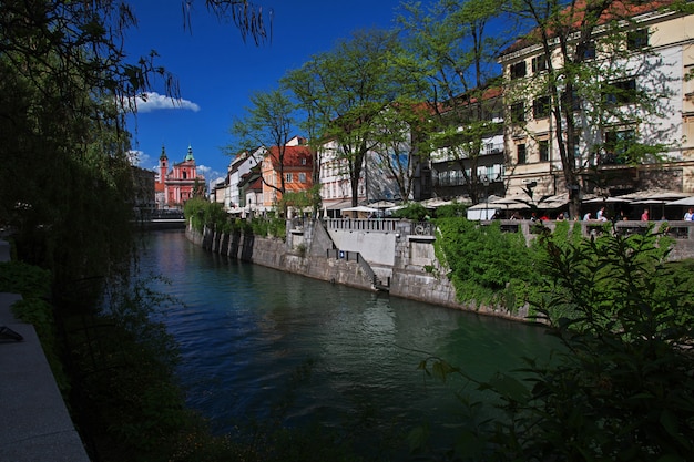 Rocznika dom na rzeka przodzie Ljubljanica rzeka, Ljubljana, Slovenia