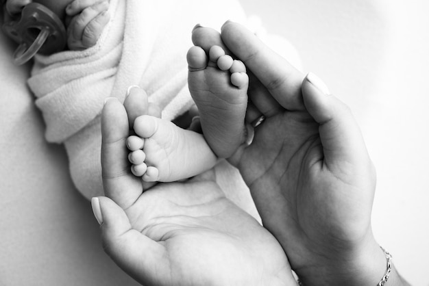Rodzice39 dłonie Ojciec i matka trzymają nogi noworodka Stopy noworodka w rękach rodziców Zdjęcie stóp pięt i palców Czarno-białe studio makro